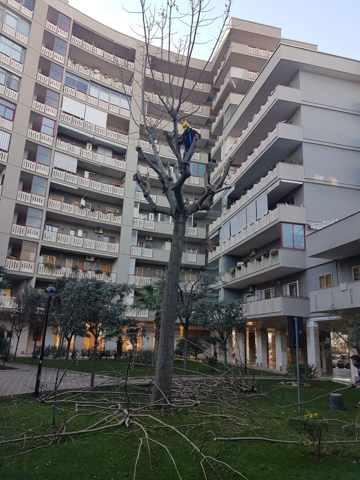 10Galleria