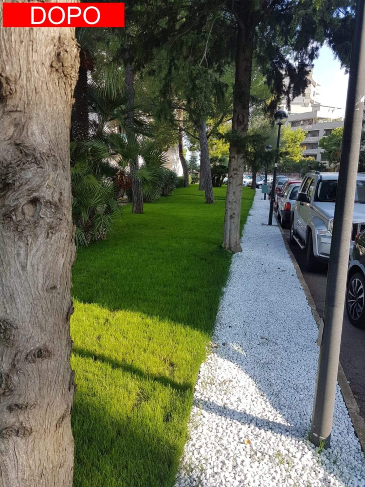 5bGalleria